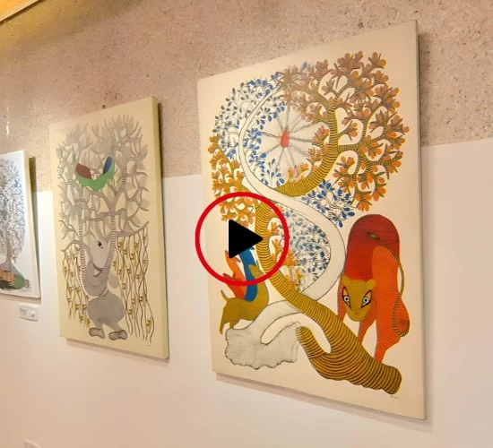 Get Ready for our new Bold Collections!